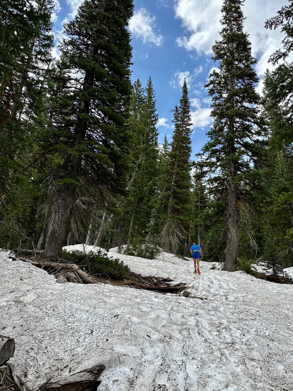 Karl Meltzer climbing a snow-covered trail through pine trees.